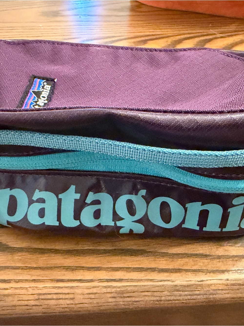 Patagonia dopp bag